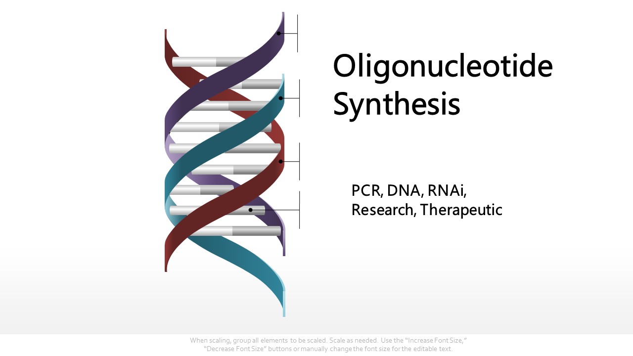 Oligonucleotide Synthesis Market To Reach USD 8.2 billion by 2024 - Current and Future Perspectives, Size, Share, Developments